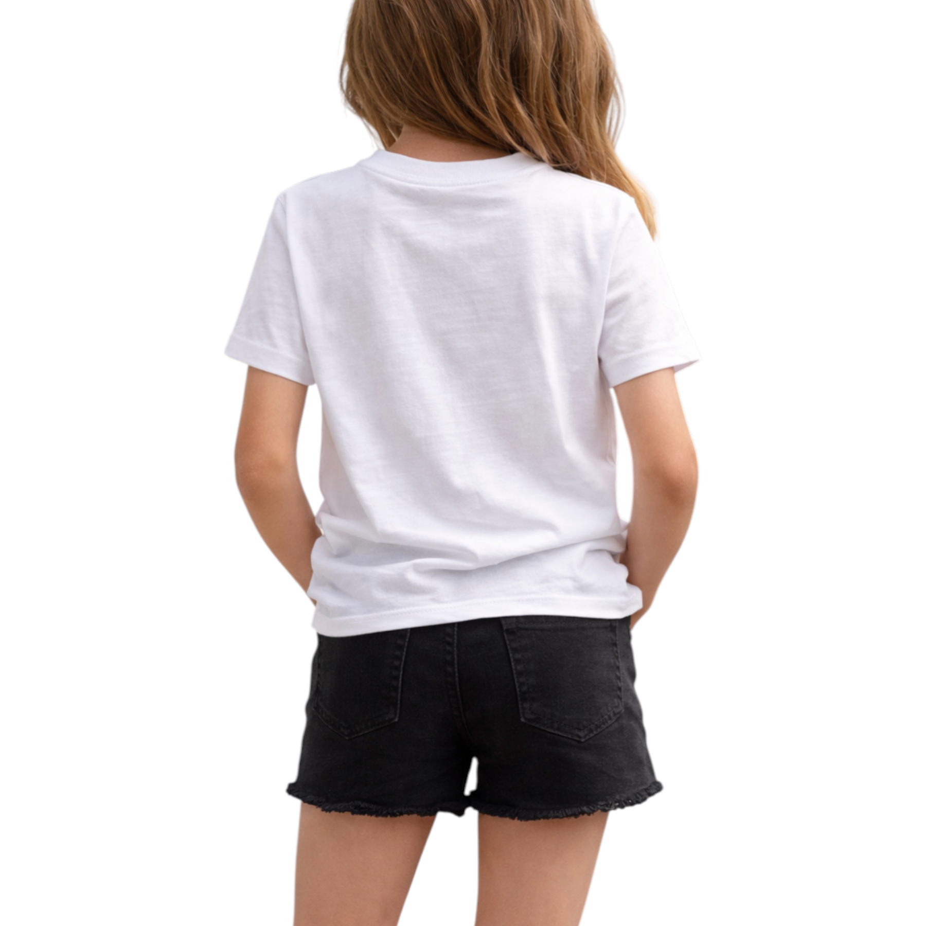 69a70208082b4.png