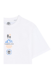 69b2c40e01a1f.png