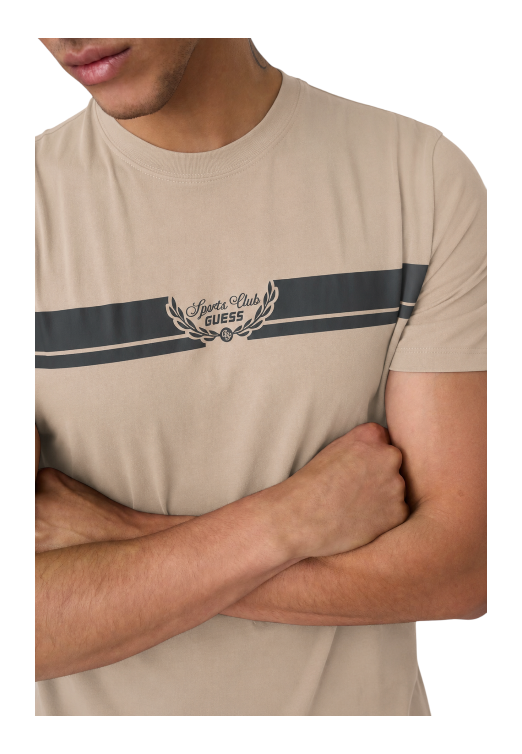 6a4687bae6070.png