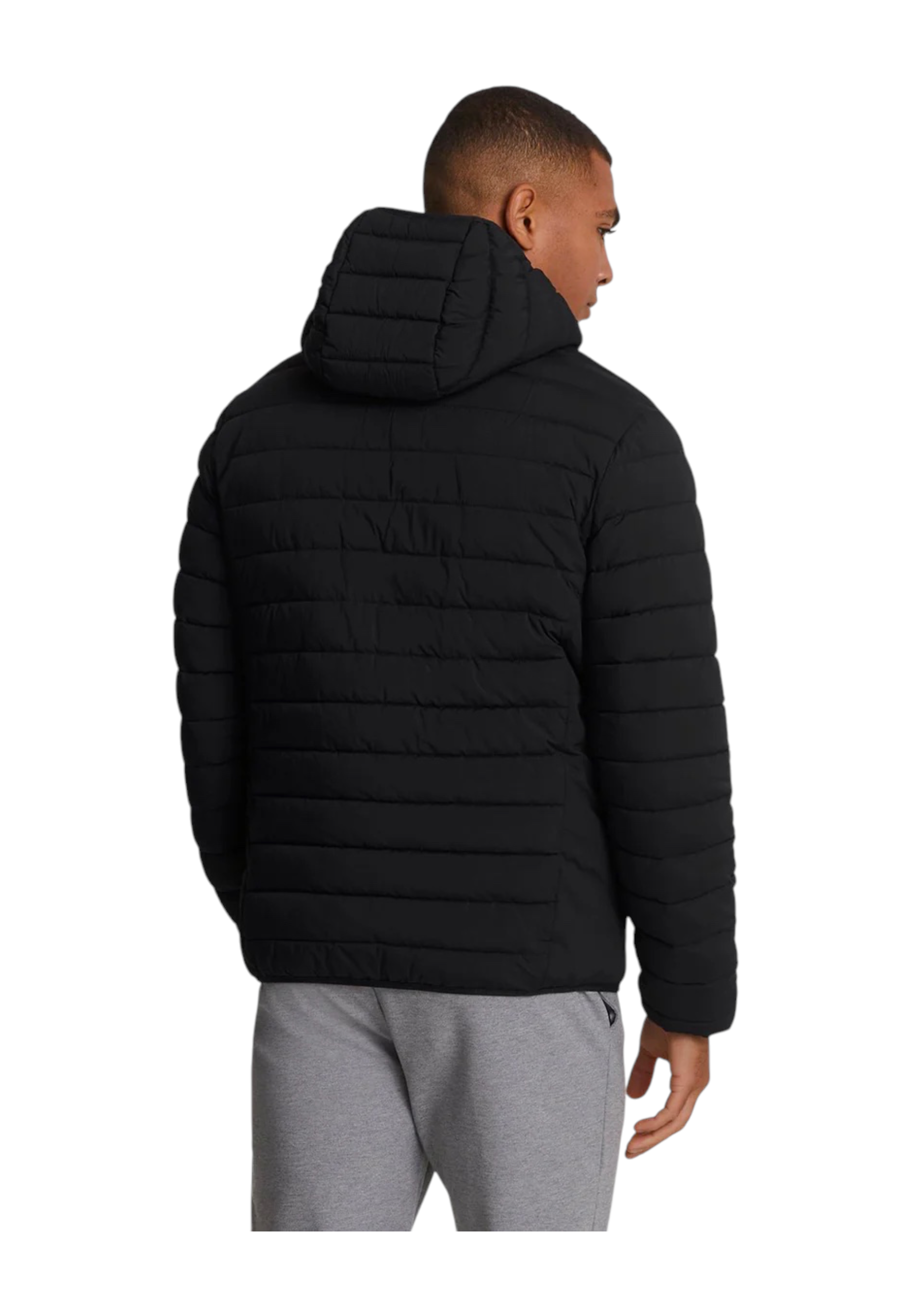 6a5603cee748b.png
