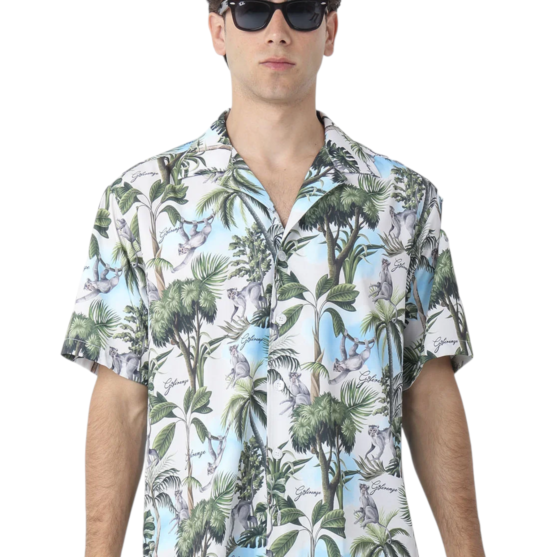 6a689b11535c9.png