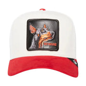 Cappello Adulto unisex Goorin Bros The Suede Doberman - Follower SRL