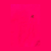 Felpa girocollo Bambina US Grand Polo US Grand Polo