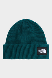Berretto unisex Follower SRL The North Face Salty Lined in maglia a coste color verde petrolio con logo frontale