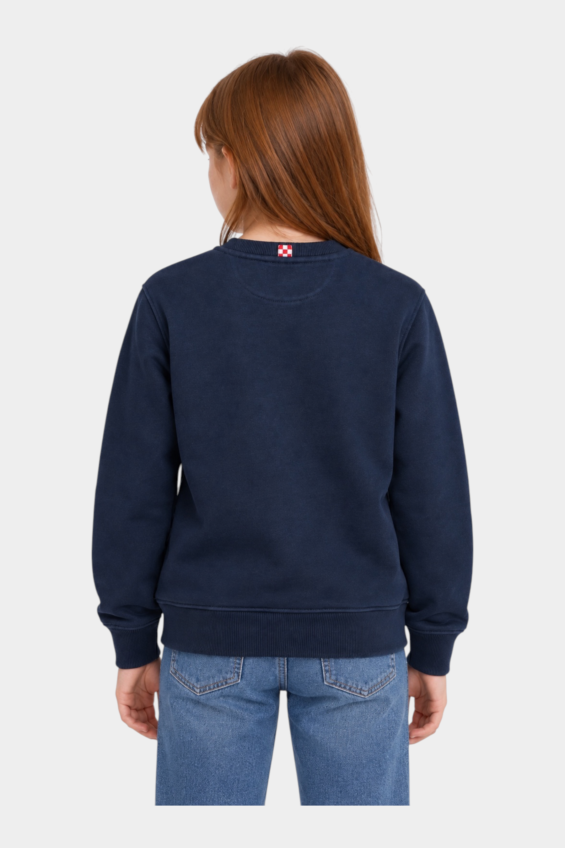 Vista posteriore della felpa Follower SRL Hutton blu navy in misto cotone con dettaglio a scacchi sul colletto