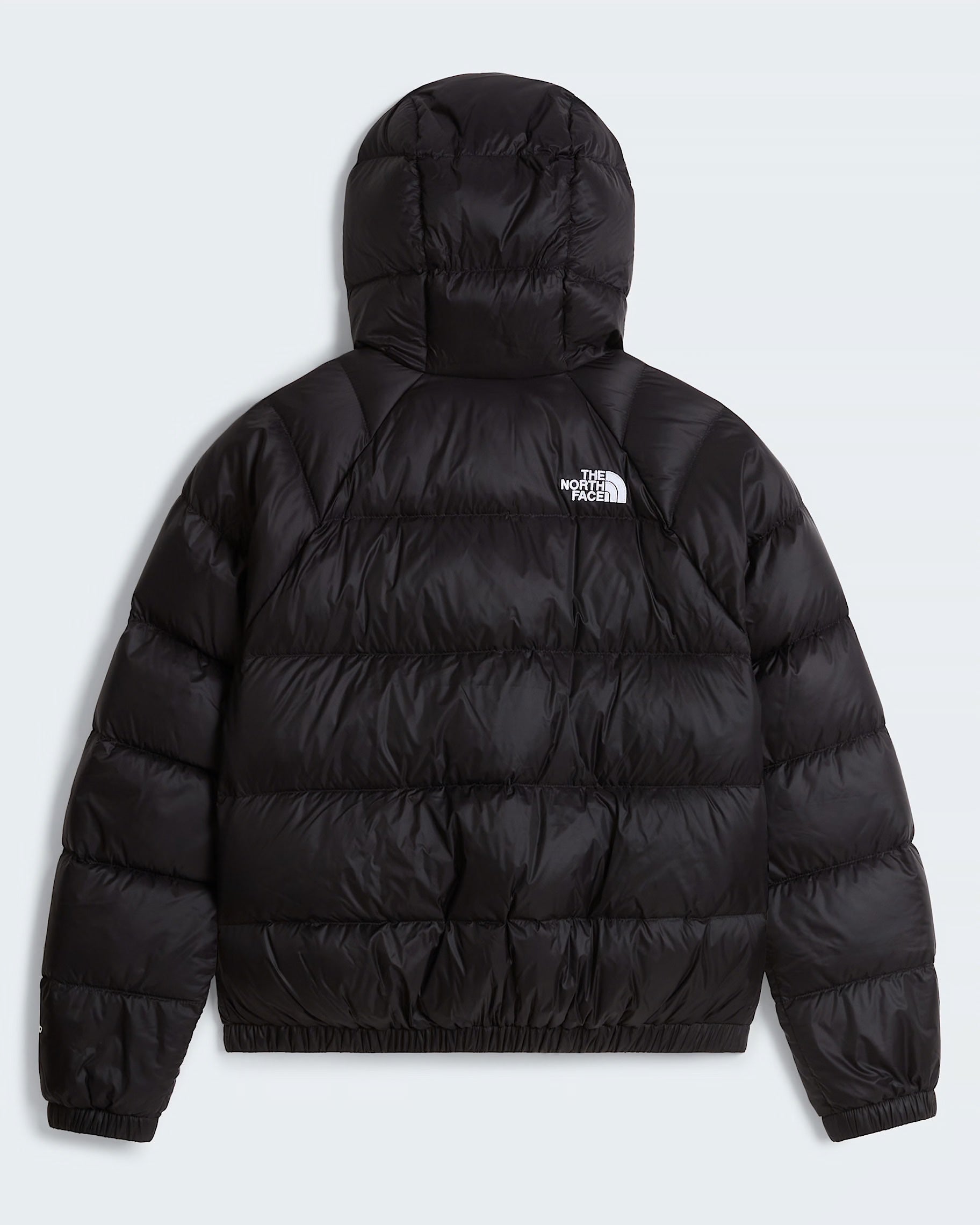 Giubbino Follower SRL The North Face Hydrenalite nero con cappuccio e imbottitura in piumino, vista posteriore