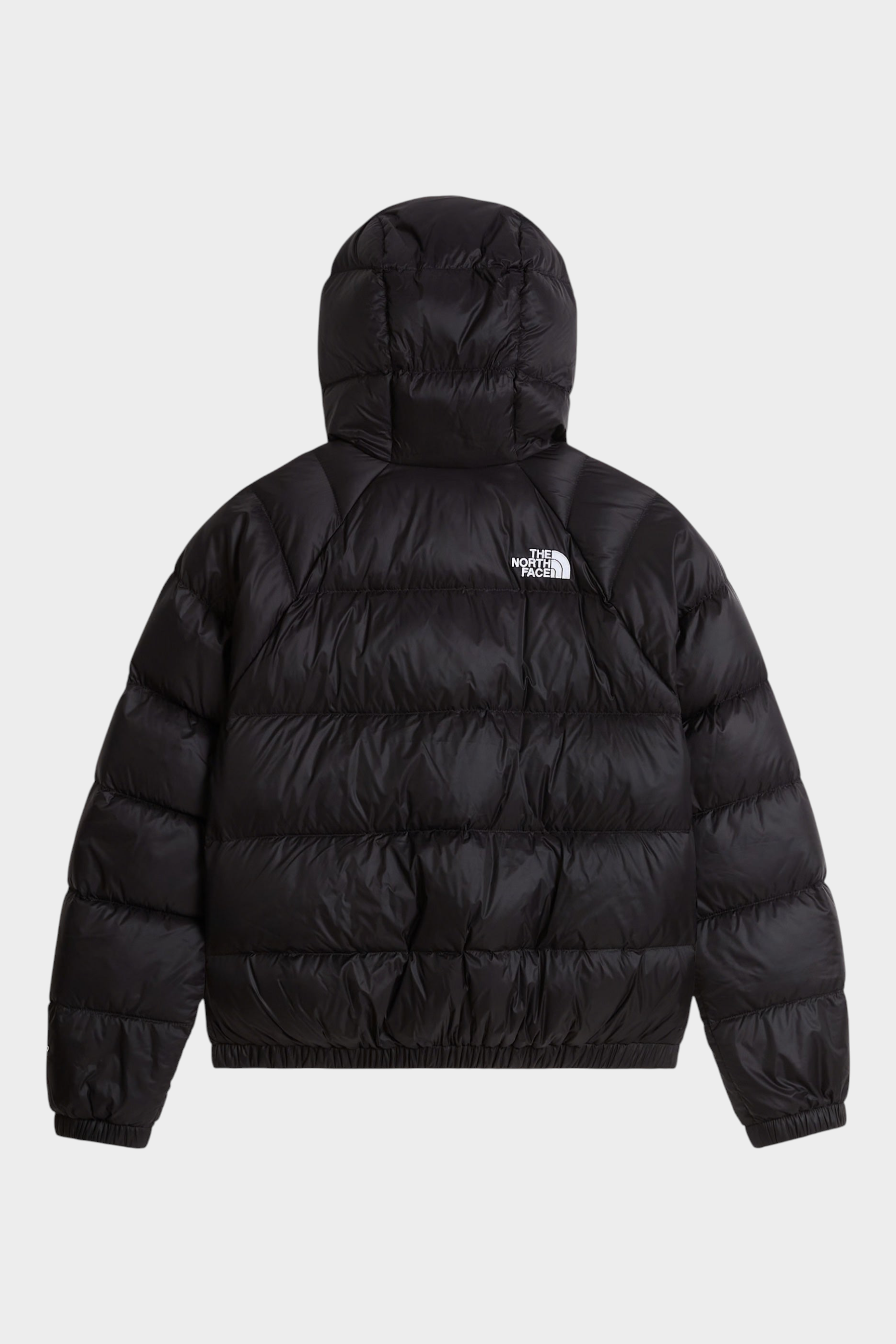 Giubbino Follower SRL The North Face Hydrenalite nero con cappuccio e imbottitura in piumino, vista posteriore
