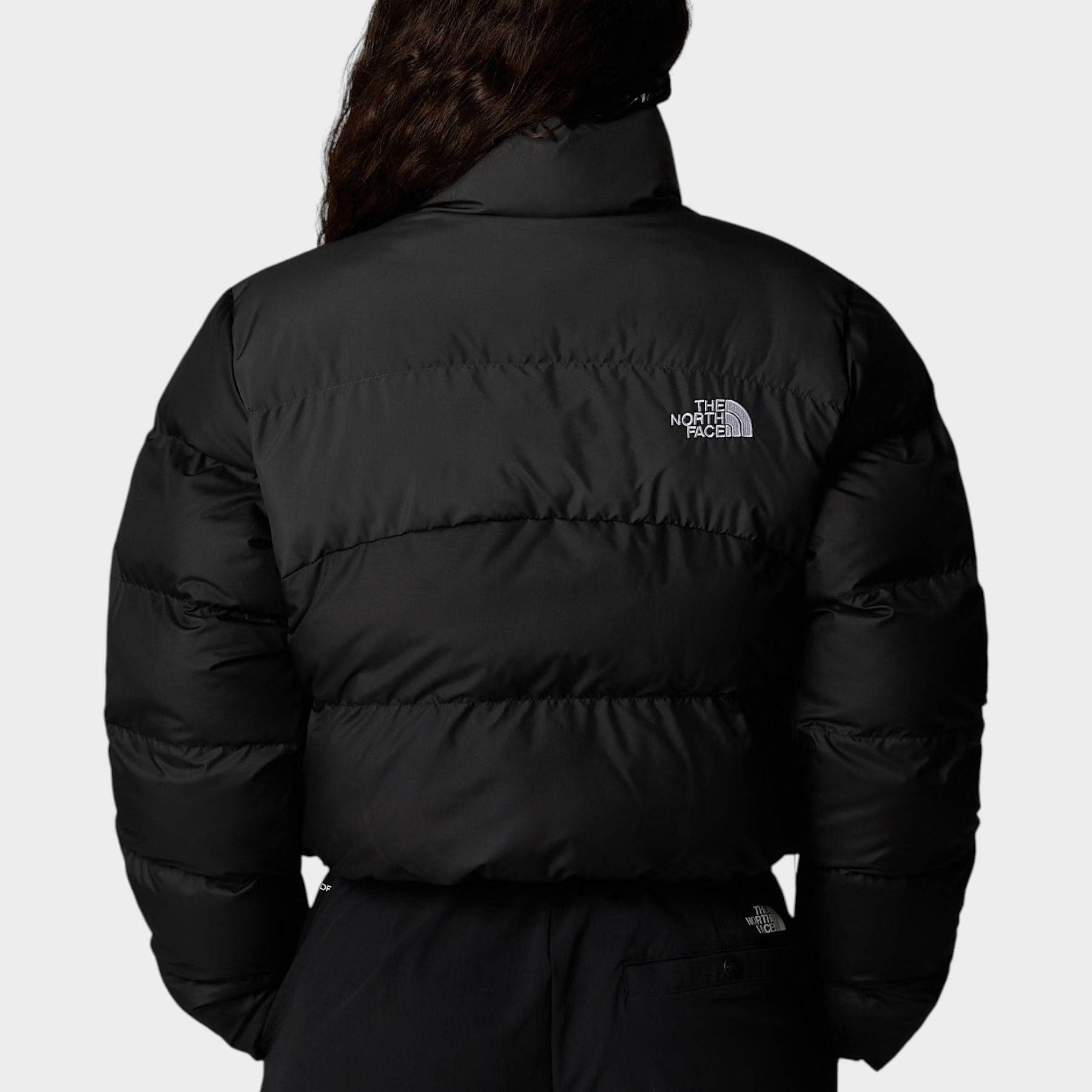 Vista posteriore del giubbino cropped nero Follower SRL The North Face in tessuto WindWall con logo ricamato