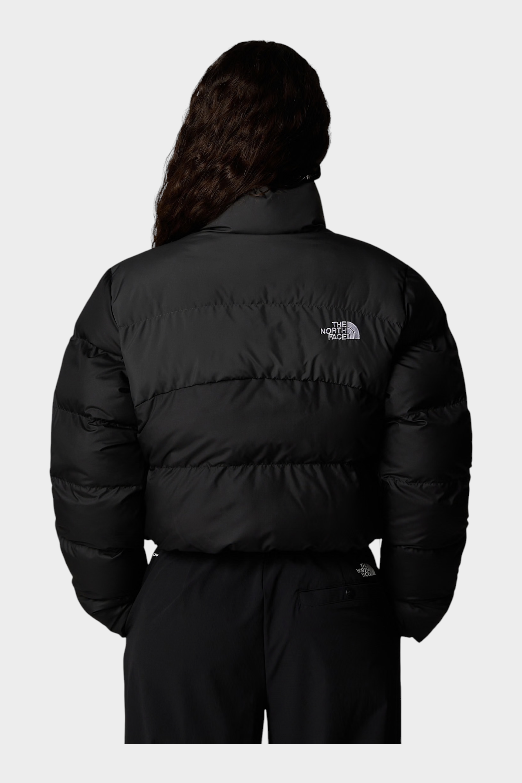 Vista posteriore del giubbino cropped nero Follower SRL The North Face in tessuto WindWall con logo ricamato