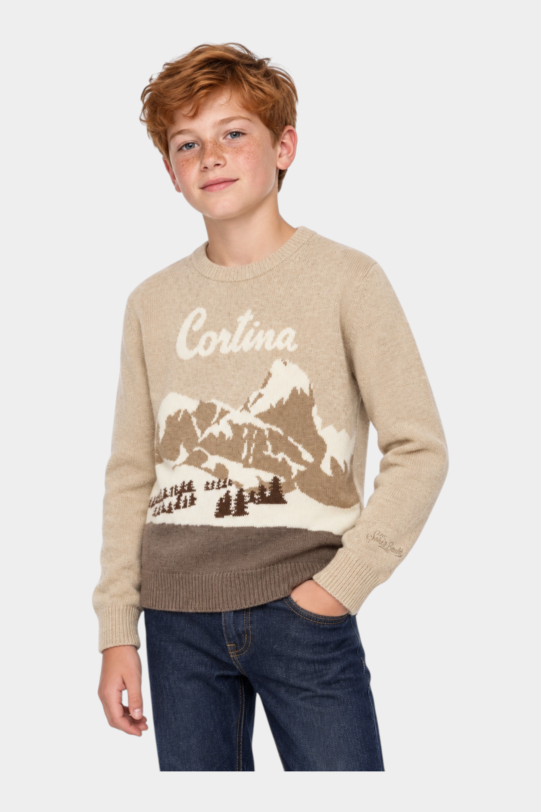 Ragazzo indossa maglia Follower SRL beige girocollo con intarsio paesaggio montano Cortina e dettagli a costine