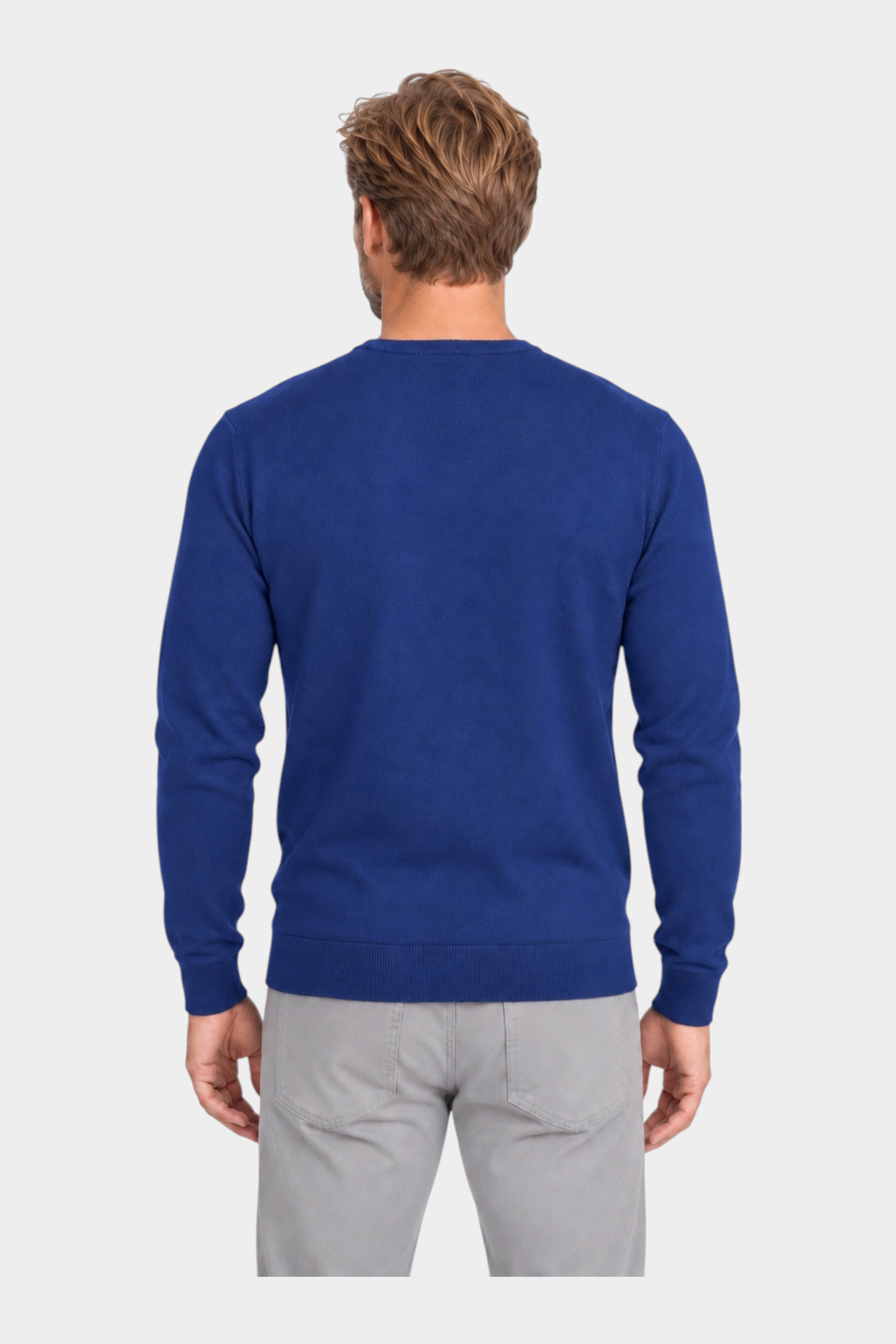 Vista posteriore di un uomo che indossa una maglia girocollo blu in filo di cotone del brand Follower SRL