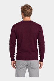 Vista posteriore di un uomo che indossa una maglia girocollo in filo bordeaux Follower SRL su pantaloni grigi