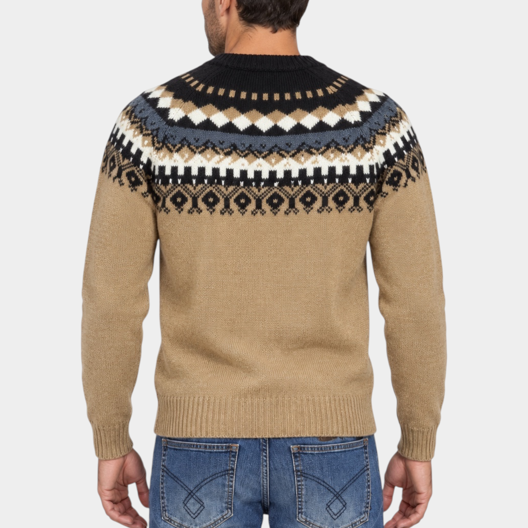 Maglione girocollo Follower SRL beige con motivo jacquard geometrico sul petto, misto lana e alpaca, vista posteriore