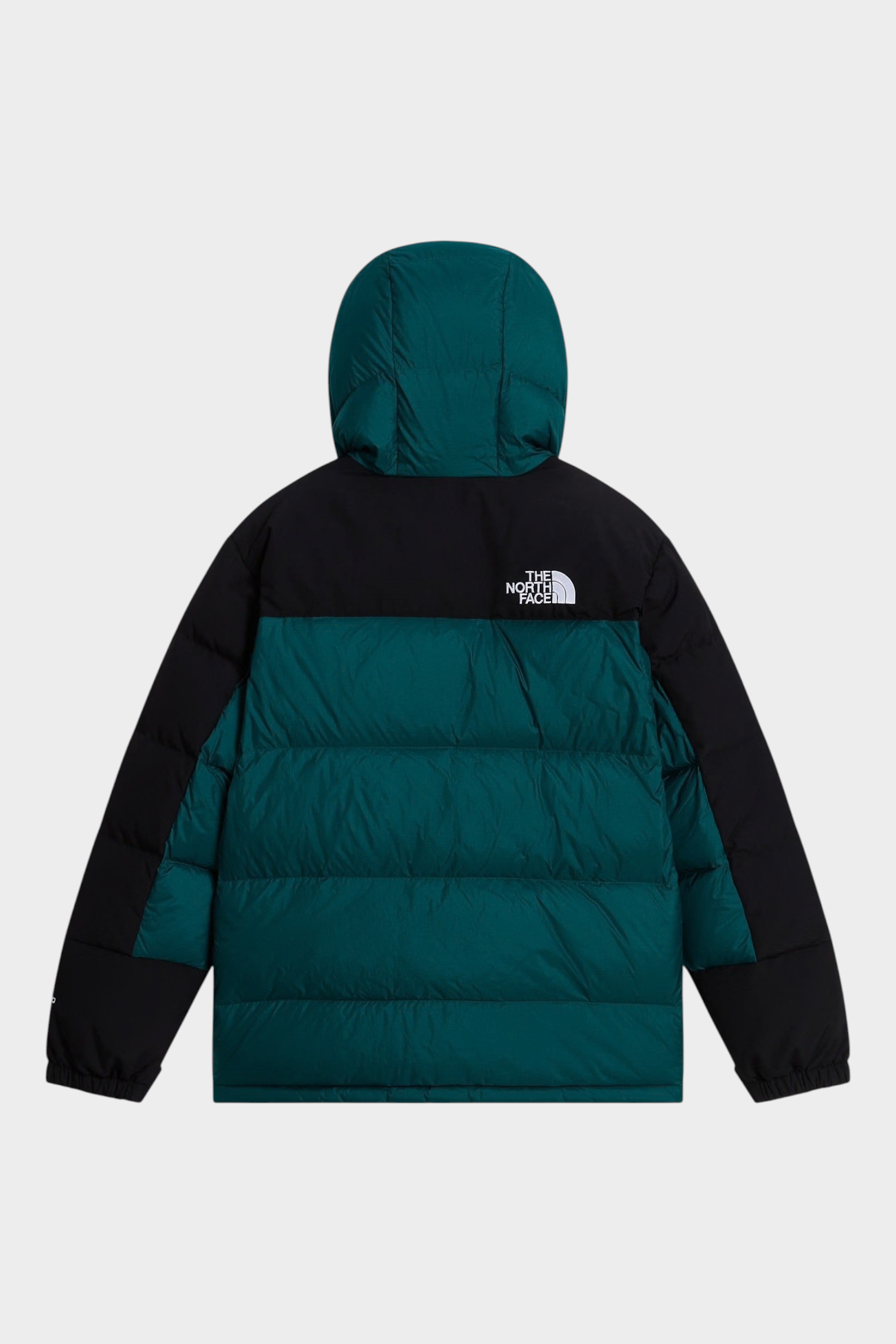 Parka corto Follower SRL The North Face verde e nero con imbottitura in piumino e cappuccio, vista posteriore
