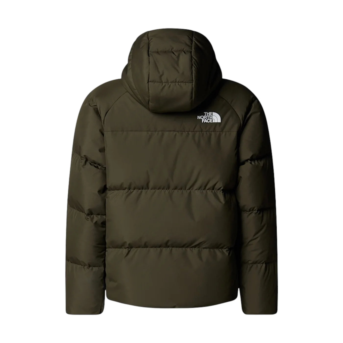 68fba496c66cc.jpg