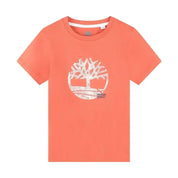T-shirt Bambino Timberland - Follower SRL