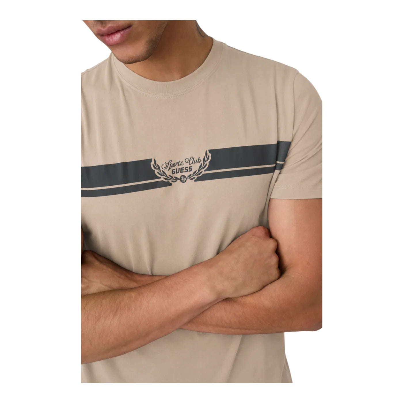 6a4687bae6070.png
