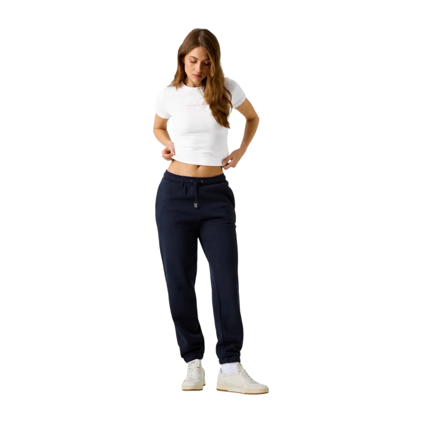 6a55f17527526.png