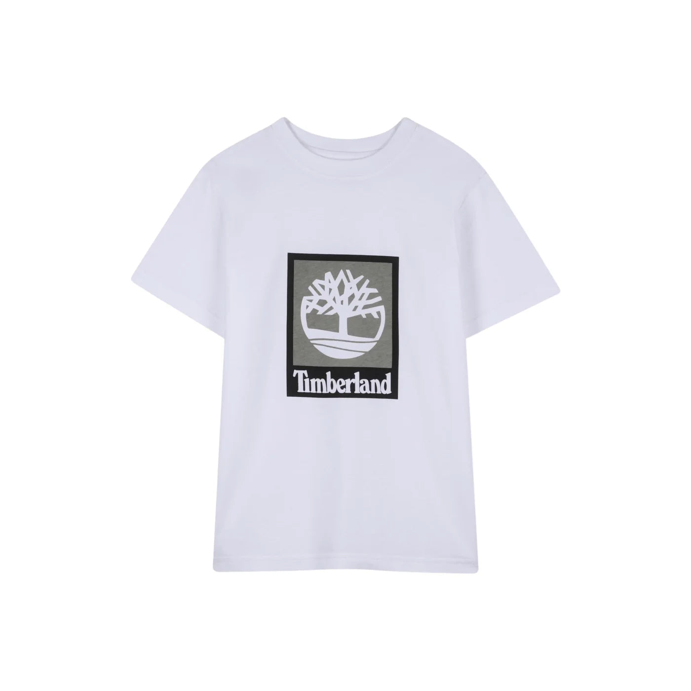 6977696eb7395.jpg