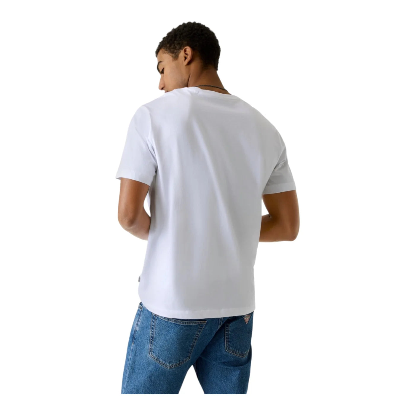 69987f2c762d6.jpg