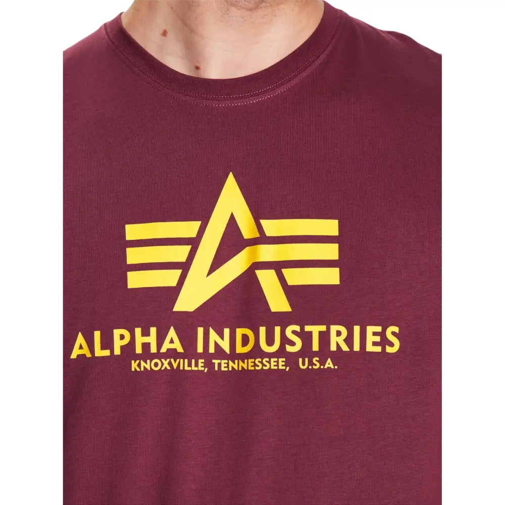 T-shirt Uomo Alpha Industries 2 pack Regular Fit Alpha Industries