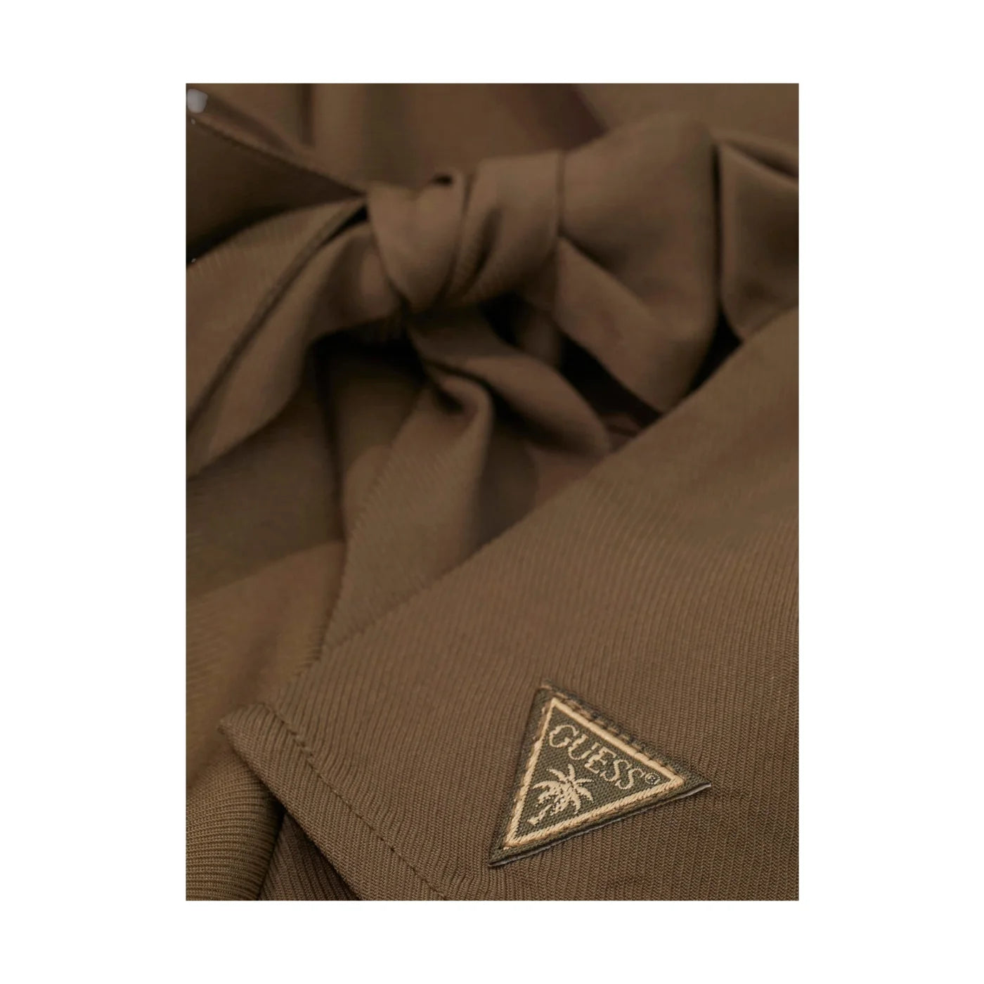 69a1bde43d724.png